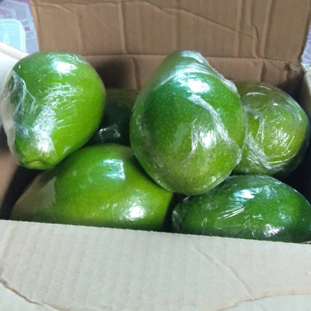 

promo alpukat mentega malam ini 1 kg isi 3/4 banyuwangi