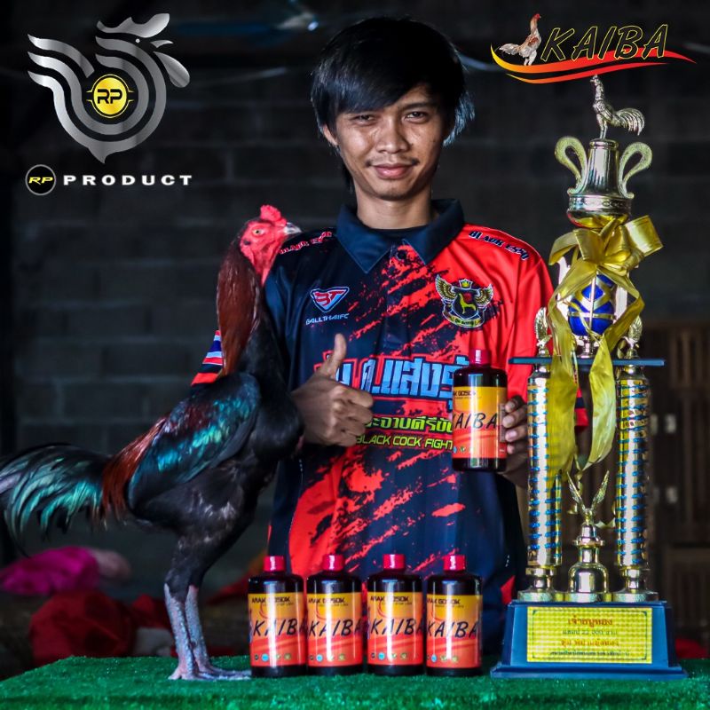 ARAK GOSOK KAIBA 500 ml khusus ayam laga