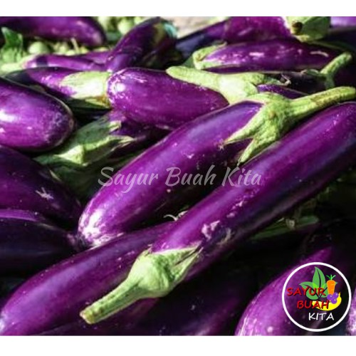 

Terong Ungu 500 gram