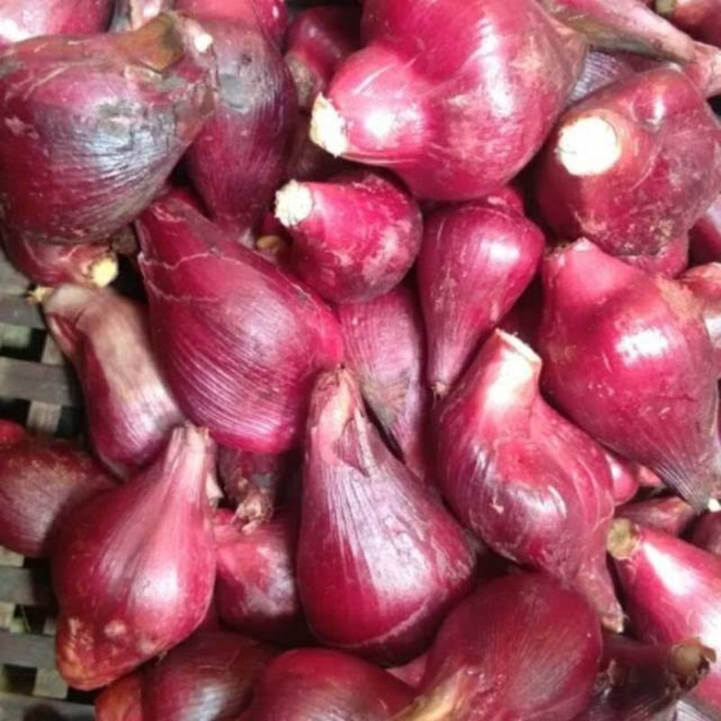 Bawang Dayak 1 Kg