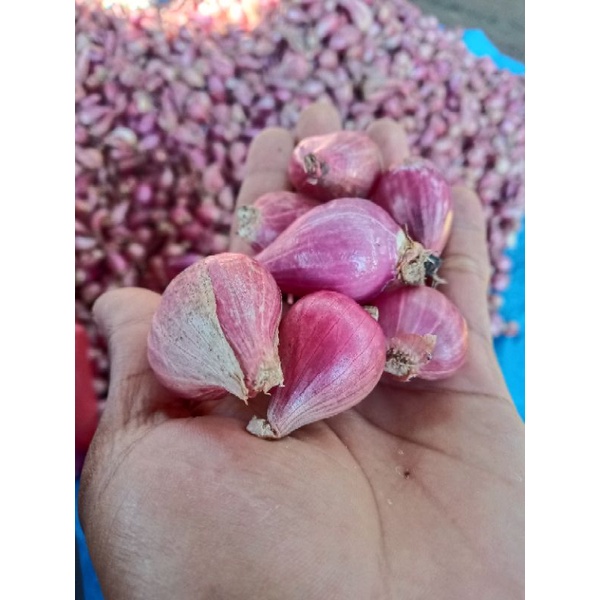 

bawang merah 250g