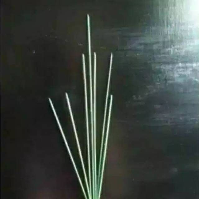 Tangkai Bunga Cabang 7