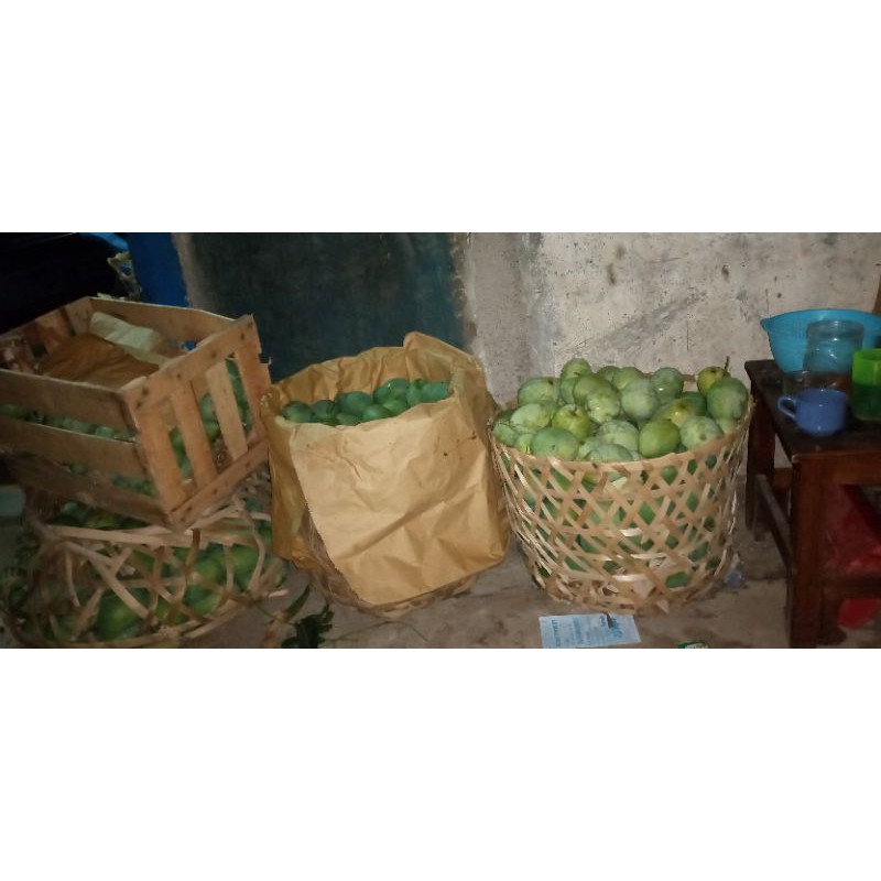 

mangga
