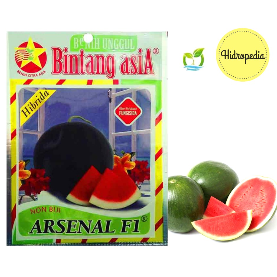 Benih Bibit Semangka Merah Hibrida Non Biji ARSENAL F1 isi 5 seeds