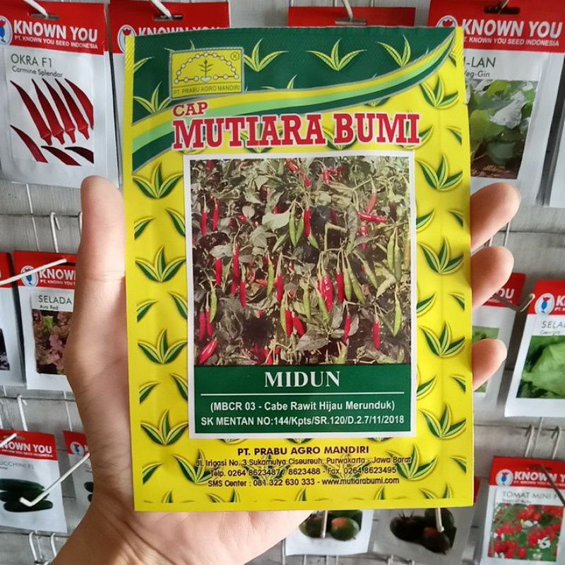 Benih Cabe Rawit Hijau Merunduk Midun Isi 10gr