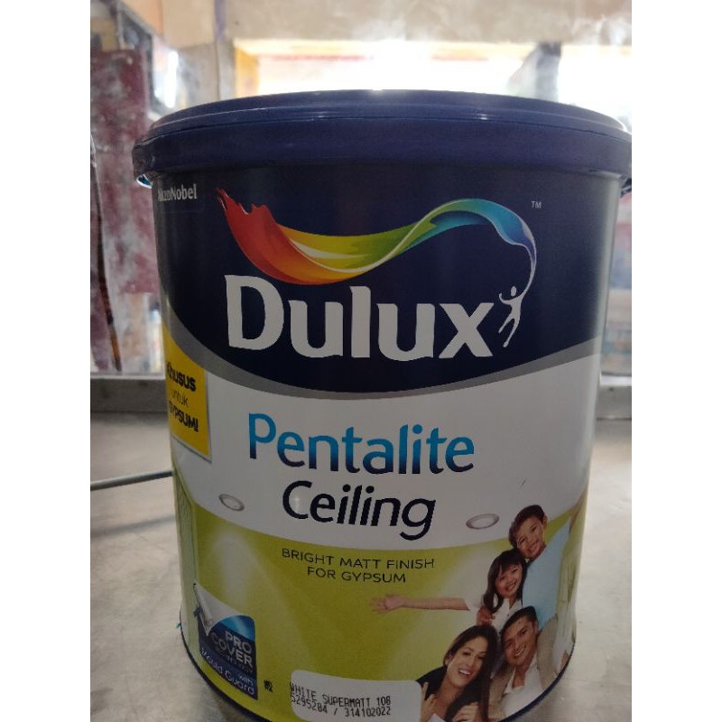 Dulux pentalite celling