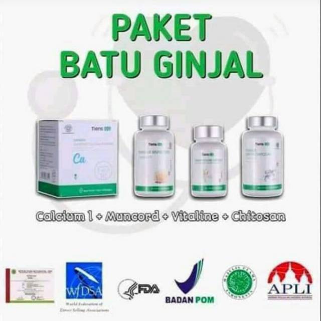 Obat Gagal Ginjal | Batu Ginjal | Kanker Ginjal | Paket Herbal Tiens