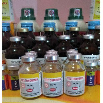 Testohormon  20 ml(obat pemacu birahi & penyubur sperma hewan jantan).