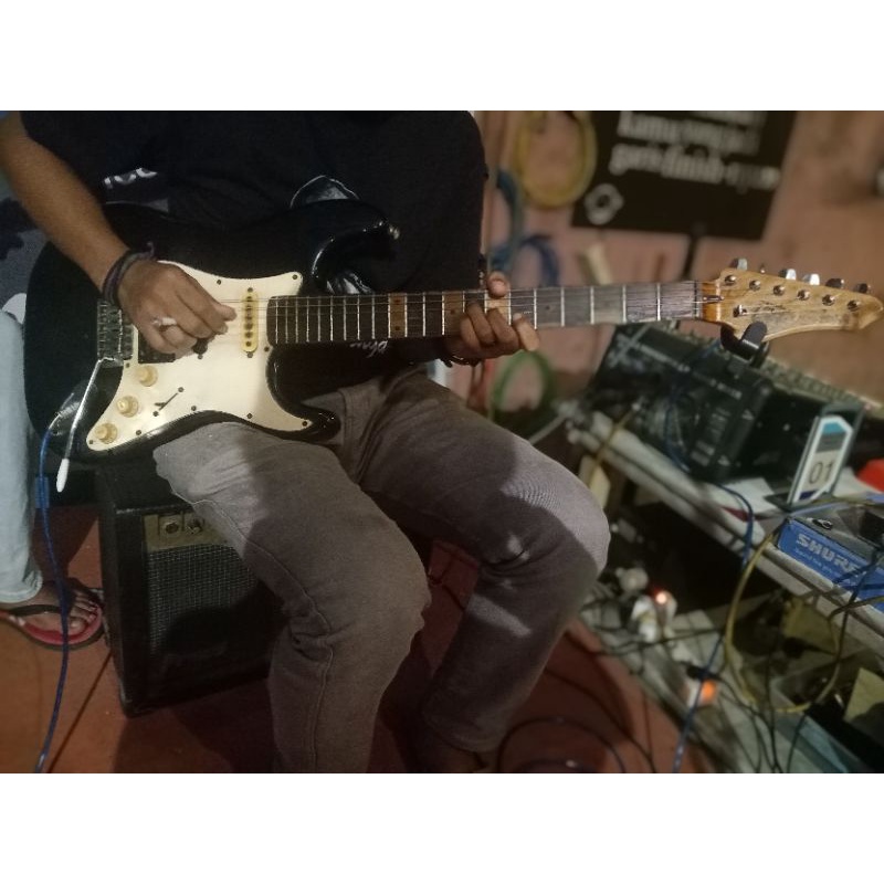 Gitar Electric Washburn Lyon Series