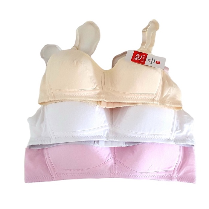 Bra / BH Remaja Elena 4019 (Tanpa Busa, Tanpa Kawat, Kait 2, Cup A)