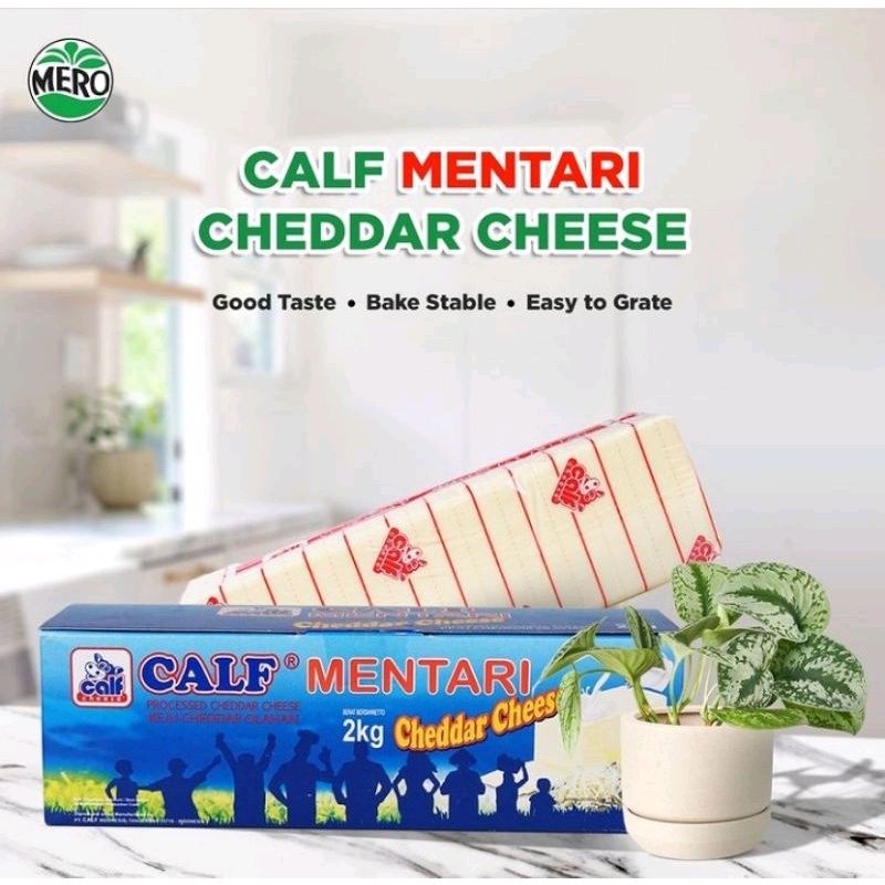 

calf cheese cheddar mentari 2kg