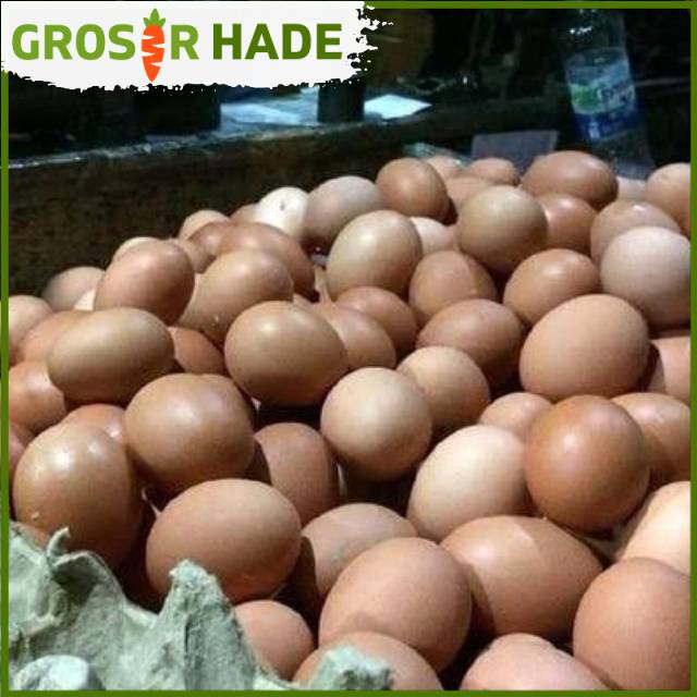 

Telur ayam bandung 1 kg Pasar Bandung Murah