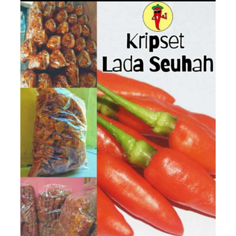 

kripset endolita/ ukuran besar