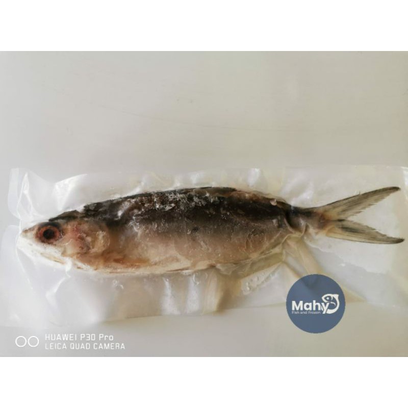 

Bandeng tanpa duri 150-200gr