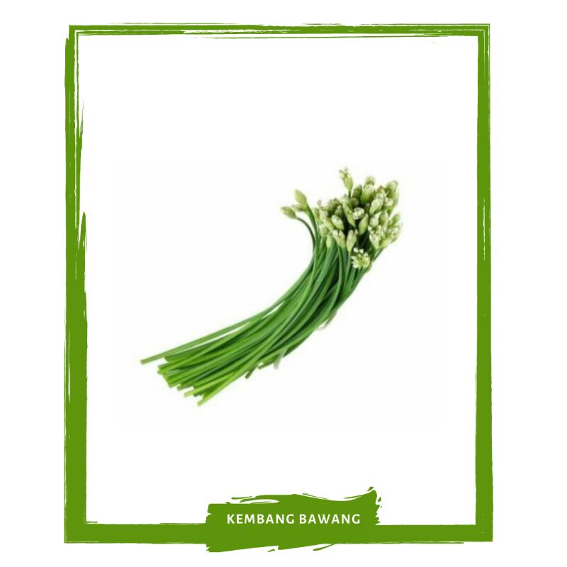 

Kembang Bawang / Sayur Sayuran Segar By Mallahrizwa