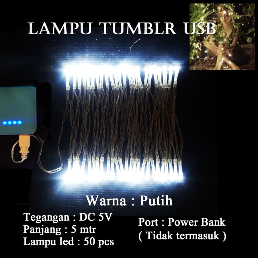 Lampu Natal LED USB DC 5V Panjang 5 Meter