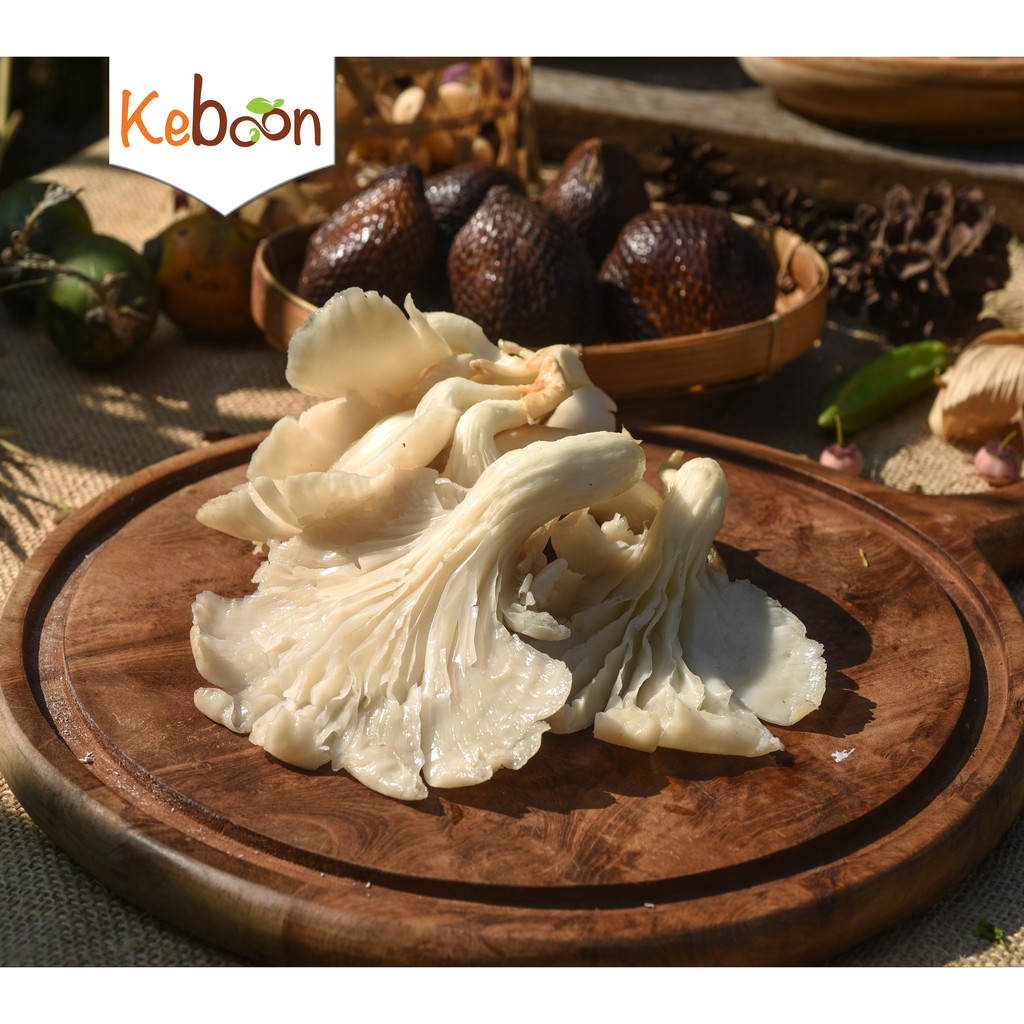 

Jamur Tiram / Oyster Mushroom (300 gr)