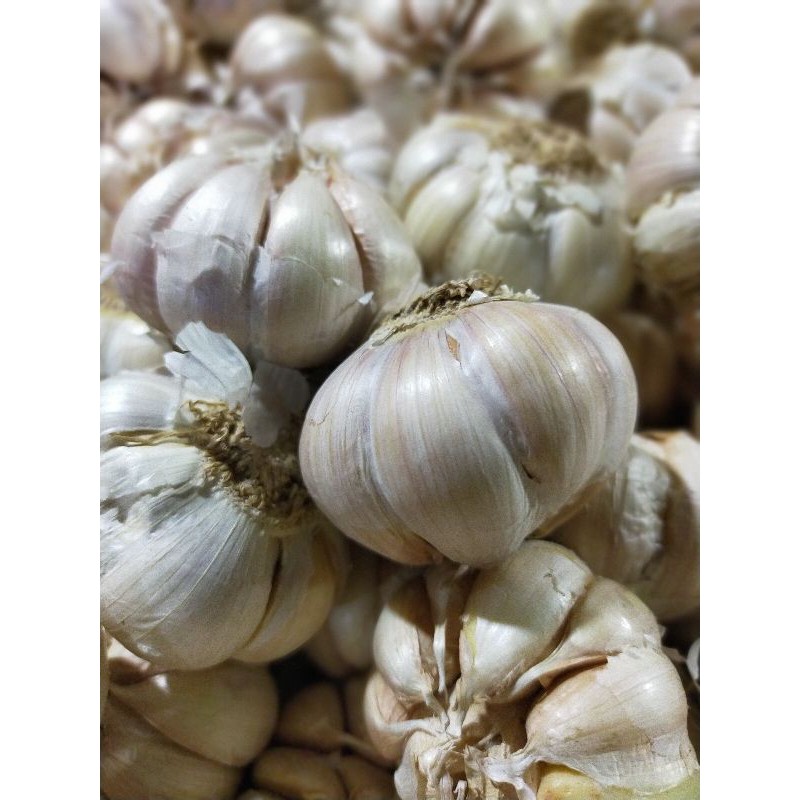 

Bawang putih 250gr