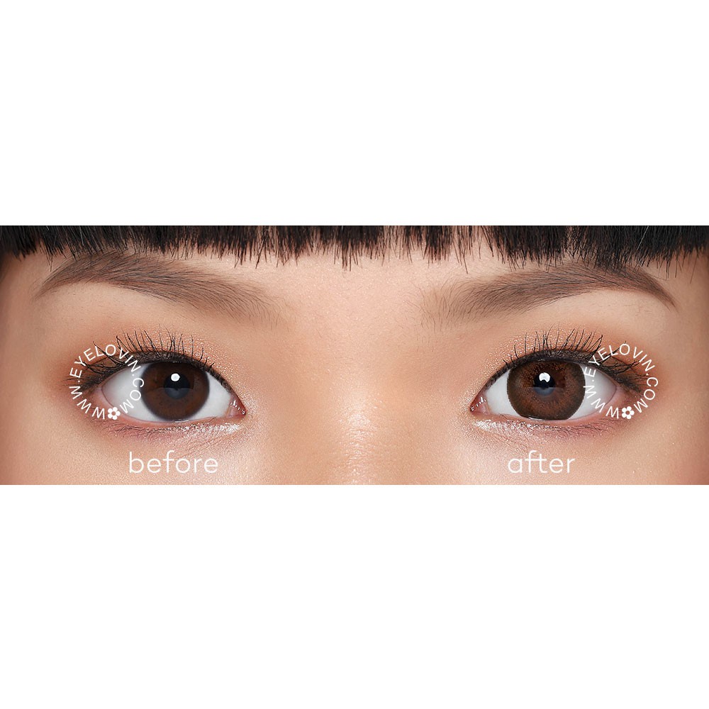 Eyelovin x Patricia Stephanie Softlens Neo Cosmo - Sage Xtra Brown N254