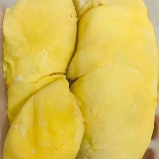 

Buah | Durpas Montong Palu