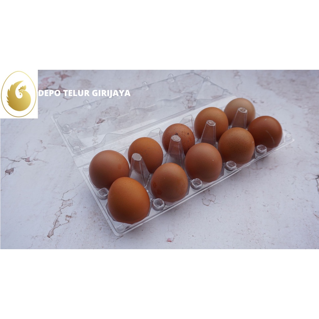 

TELUR AYAM NEGERI FRESH TERNAK SENDIRI ISI 10 PCS
