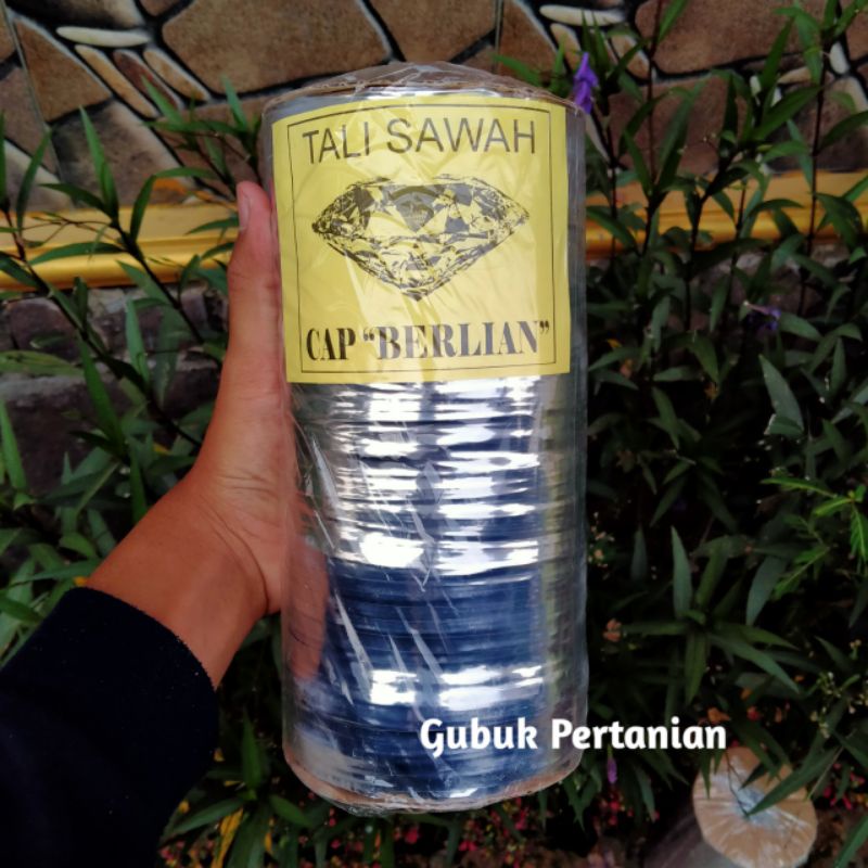 Tali Perak Pengusir burung pipit di Sawah