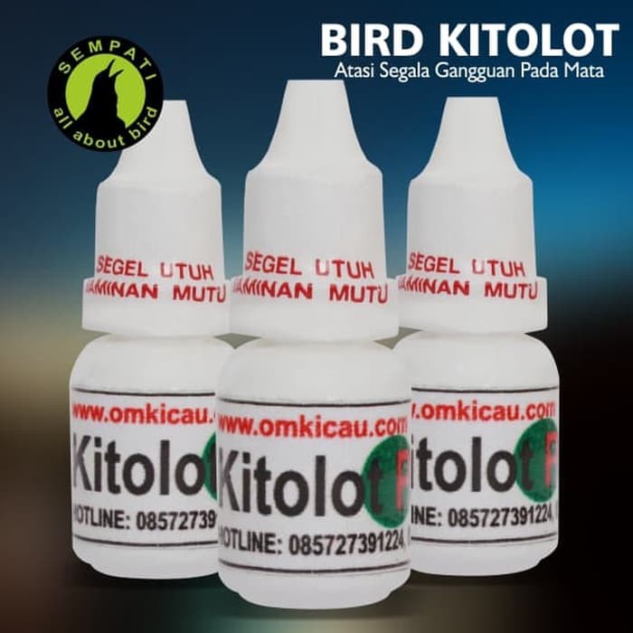 BIRD KITOLOT TETES OM KICAU OBAT BURUNG SAKIT MATA KATARAK BERLENDIR