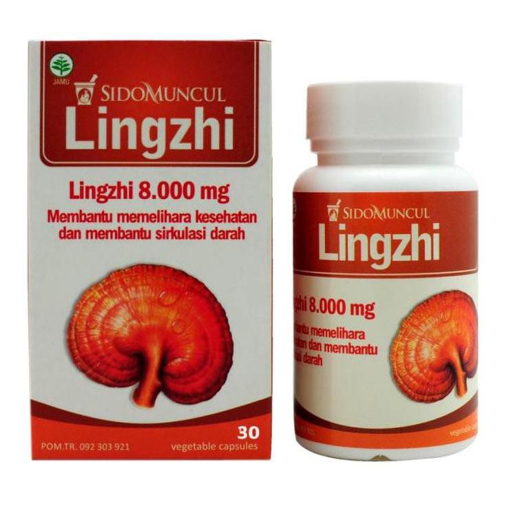 Jual LAr!sKAPSUL JAMUR LINGZHI SIDOMUNCUL, DARAH TINGGI, SIRKULASI
