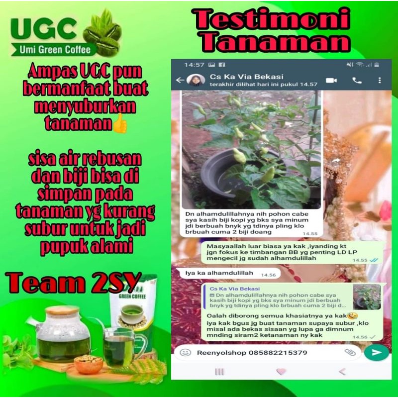 

UMI GREEN COFFEE