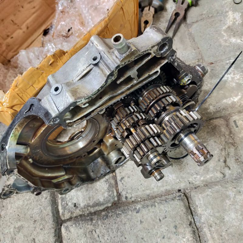 rasio tirev rasio tiger Reso tiger set rengkes