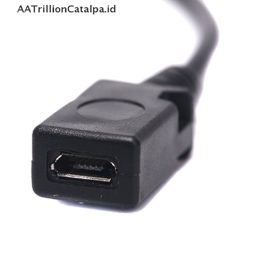 Aa Kabel Adapter Power Splitter Y Trillioncatalpa OTG Male Ke USB A Male Female