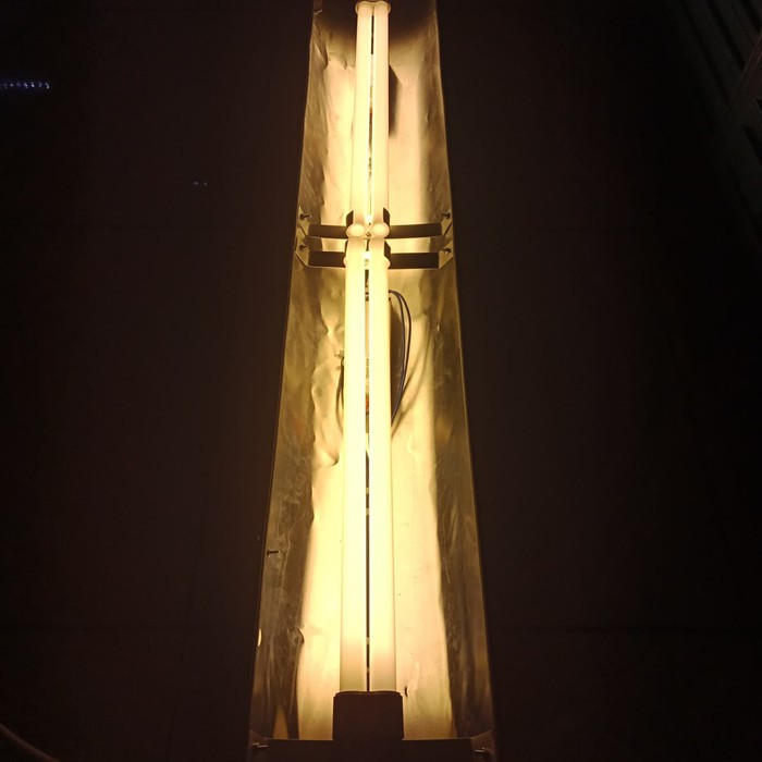 Siap Pakai Lampu Tanning Arwana 100cm Louhan Philips PLL POLAND 827/865 (100 cm) isi 2