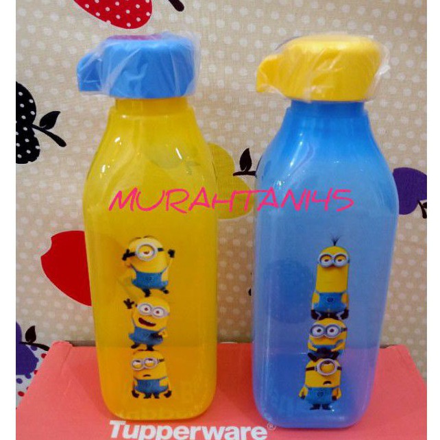Botol minum eco minion 500 ml Tupperware eceran 1 pcs
