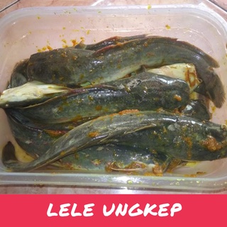 Jual IKAN LELE UNGKEP FRESH BUMBU KUNING LELE UNGKEP SIAP GORENG 500 ...