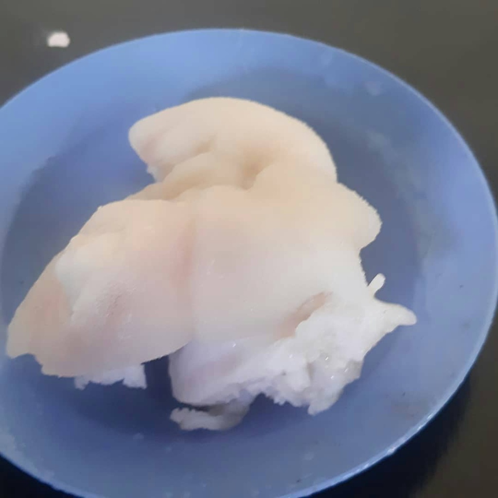

Tunjang 1 pack isi 5 pcs gede gede/kaki sapi/kikil/tunjang sapi