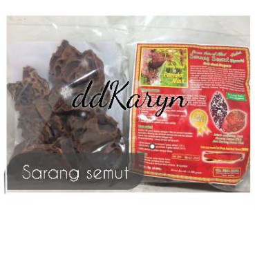 

Sarang semut Papua kemasan 100gr