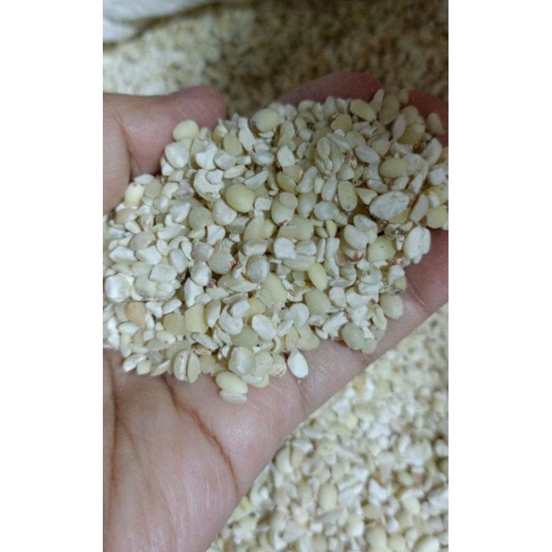 

Beras Jali Jali (500g) PEARL BARLEY LOKAL / BIJI JALI-JALI / iu Bi / Jelai / Hanjeli / iubi / ibi