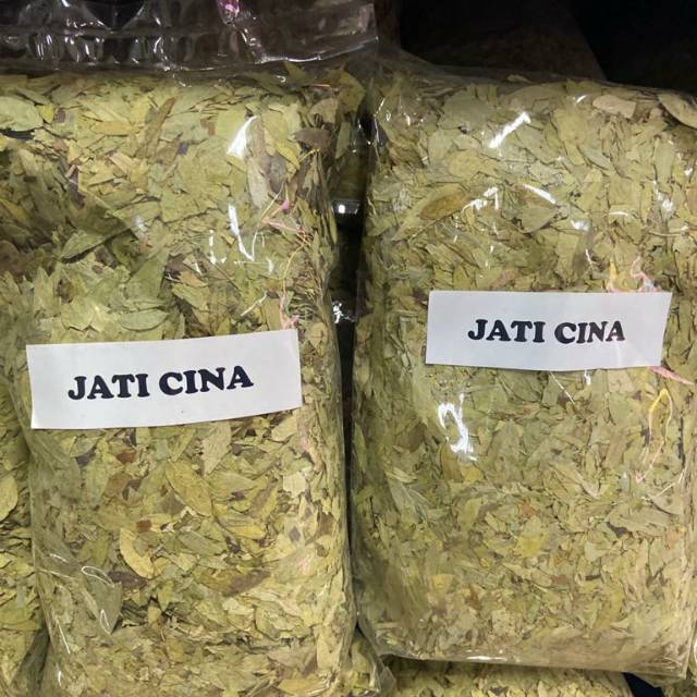 

Daun Jati cina