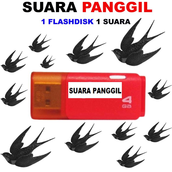 SUARA BURUNG WALET KALIMANTAN 5 FLASHDISK masing masing 4gb