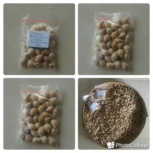 

PROMO Herbal alami Bawang lanang tunggal lokal asli magetan
