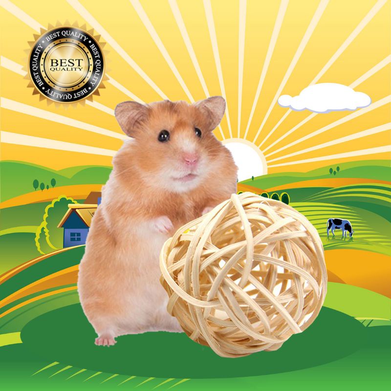 BOLA ROTAN - Bola Hamster Mainan Hamster Kelinci Kakaktua Bola Rotan Kelinci KECIL 3 CM