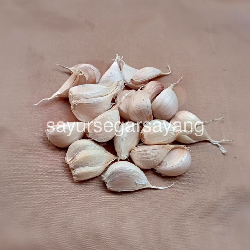 

Bawang Putih Kating Bersih 500gr
