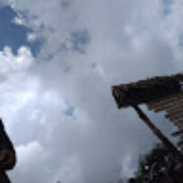 dicydavian
