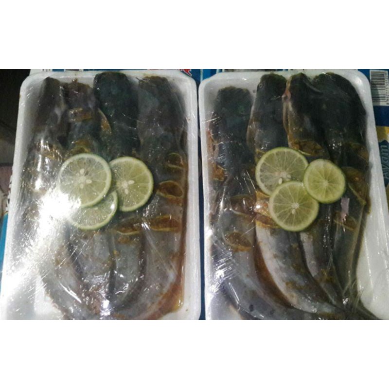 

Lele segar bumbu tinggal masak.... 1/2 KG