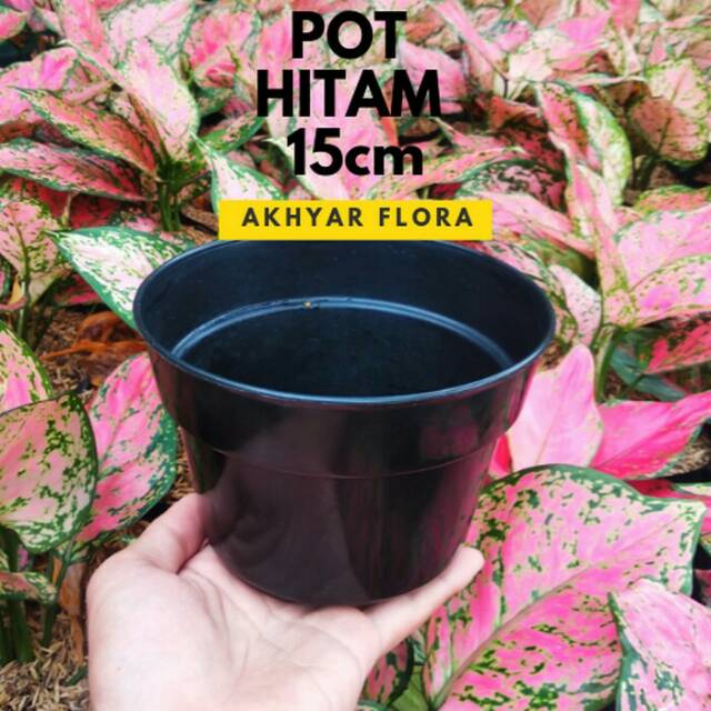 Pot Bunga Hitam 15cm Plastik Pot Tanaman Grosir Plastik 12cm