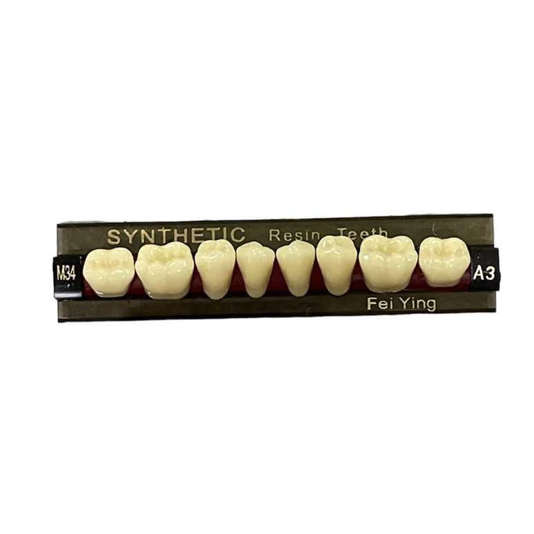 1 strip gigi palsu Posterior / Belakang / Geraham YP SYNTHETIC | artificial acrylic teeth akrilik muldent