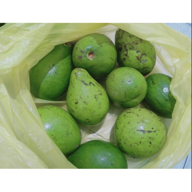 

Ready alpukat khusus kota Medan 1 kg