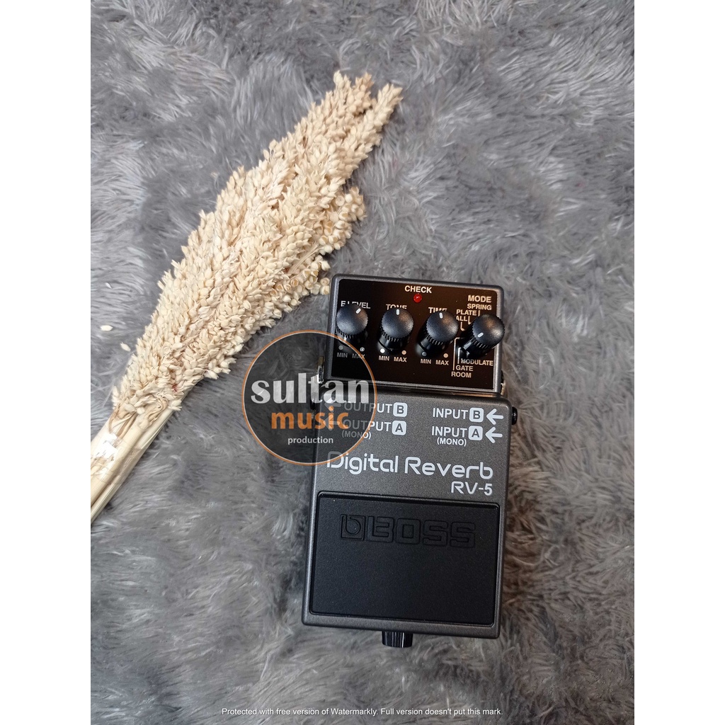Efek gitar Boss Digital reverb RV-5