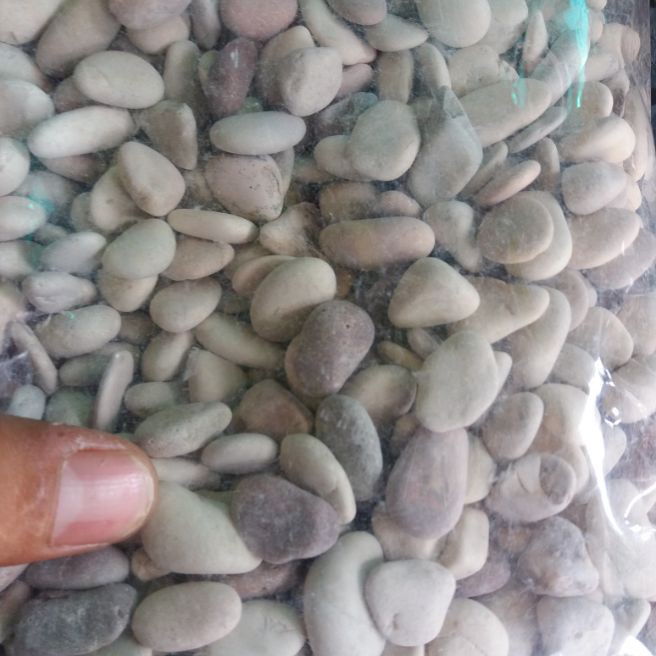 Batu Hias Panca Warna/Hiasan Taman Batu Panca warna 5kg