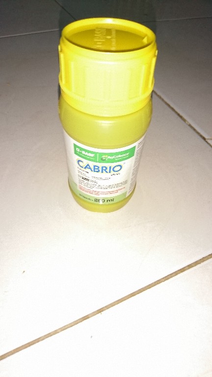 Fungisida Cabrio 250ec 250ml